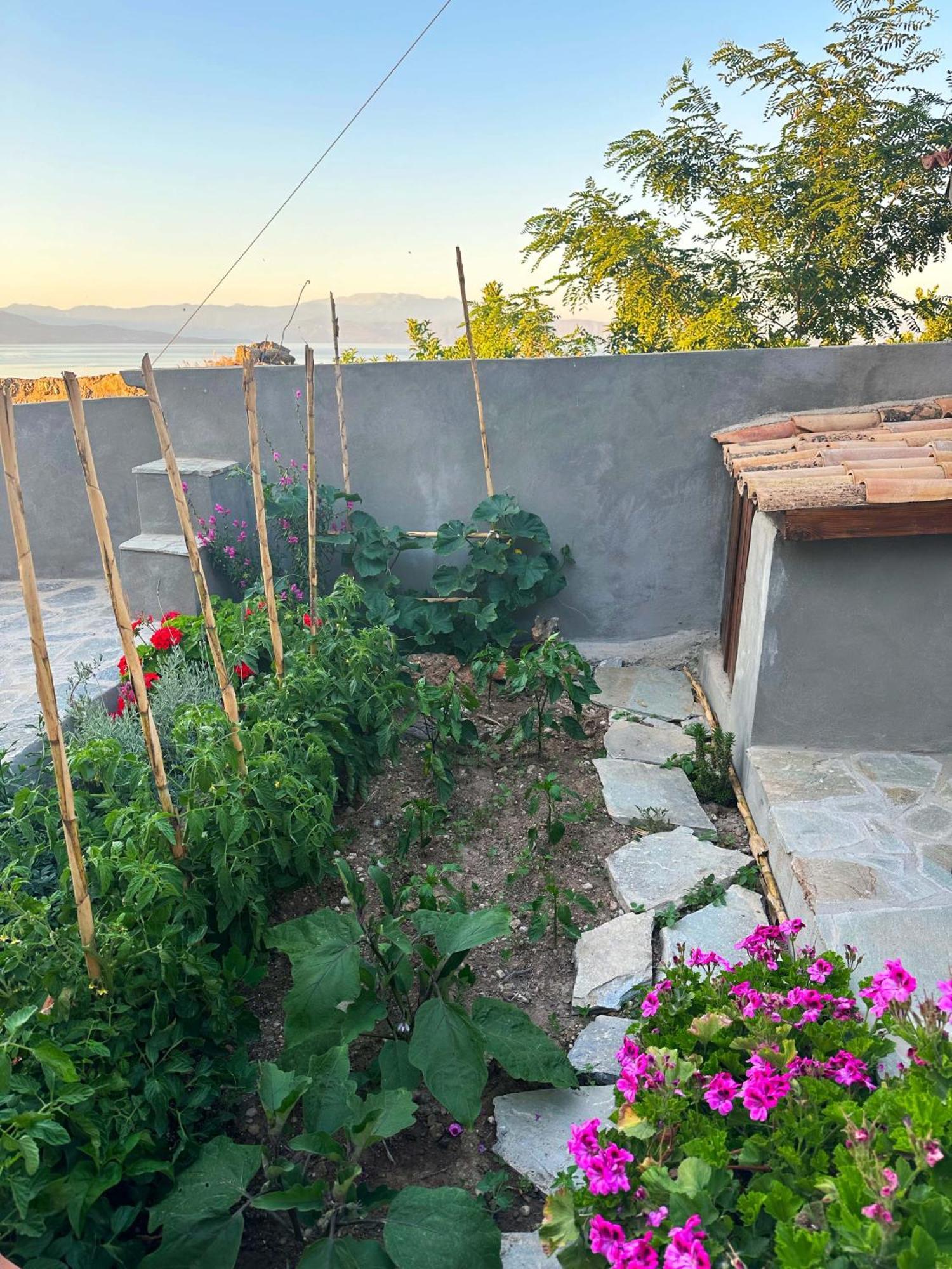 Fteri Stone House In Platanos, Akrata Apartment Екстериор снимка